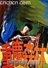 ����ɭ��
 ��Chungking&nbsp;Express�� ����