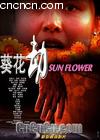 ������
 ��SUN FLOWER�� ����