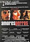 ǹ
 Amores Perros 