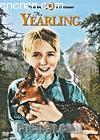 ¹Է
 The Yearling 