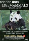 鶯ϰ2
 The Life Of Mammals 