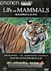 鶯ϰ1
 The Life Of Mammals 