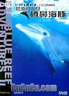 ̲˶ױǺ
 Blue Reef Adventure II - Bottlenose Dolphins 
