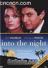 ʼɱ
 Into the Night 