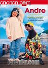 汦
 Andre Andre 