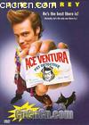 ̽ɻͷ
 Ace Ventura 