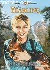 ¹Է
 The Yearling 